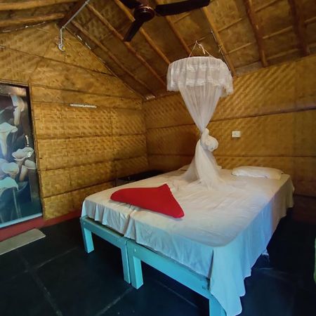 Hampi Nature Cottage ภายนอก รูปภาพ