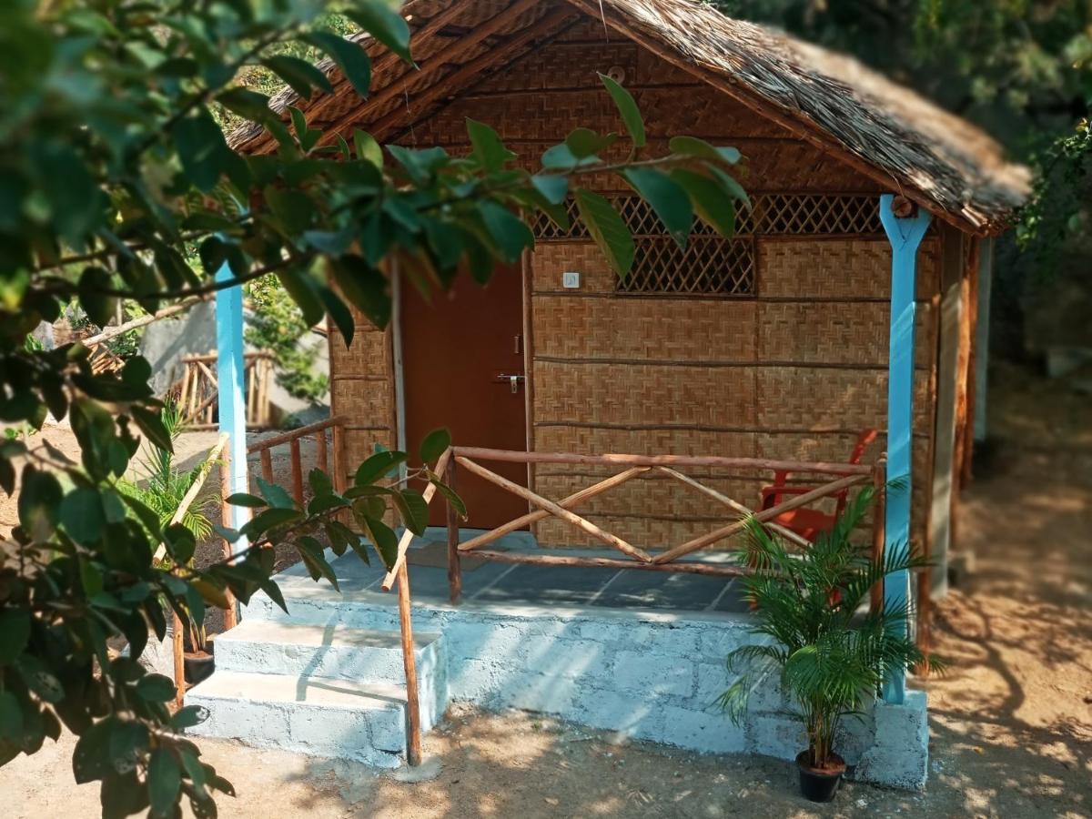 Hampi Nature Cottage ภายนอก รูปภาพ