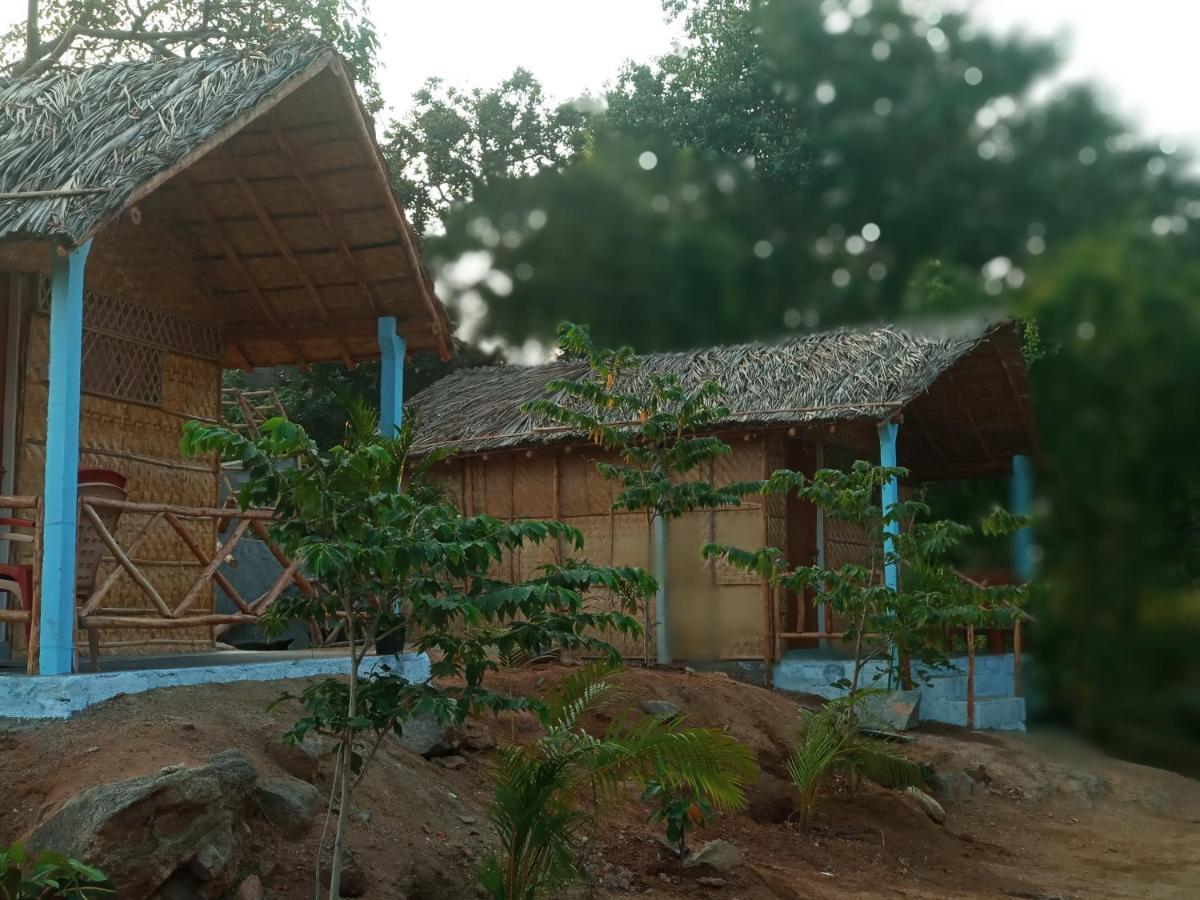 Hampi Nature Cottage ภายนอก รูปภาพ