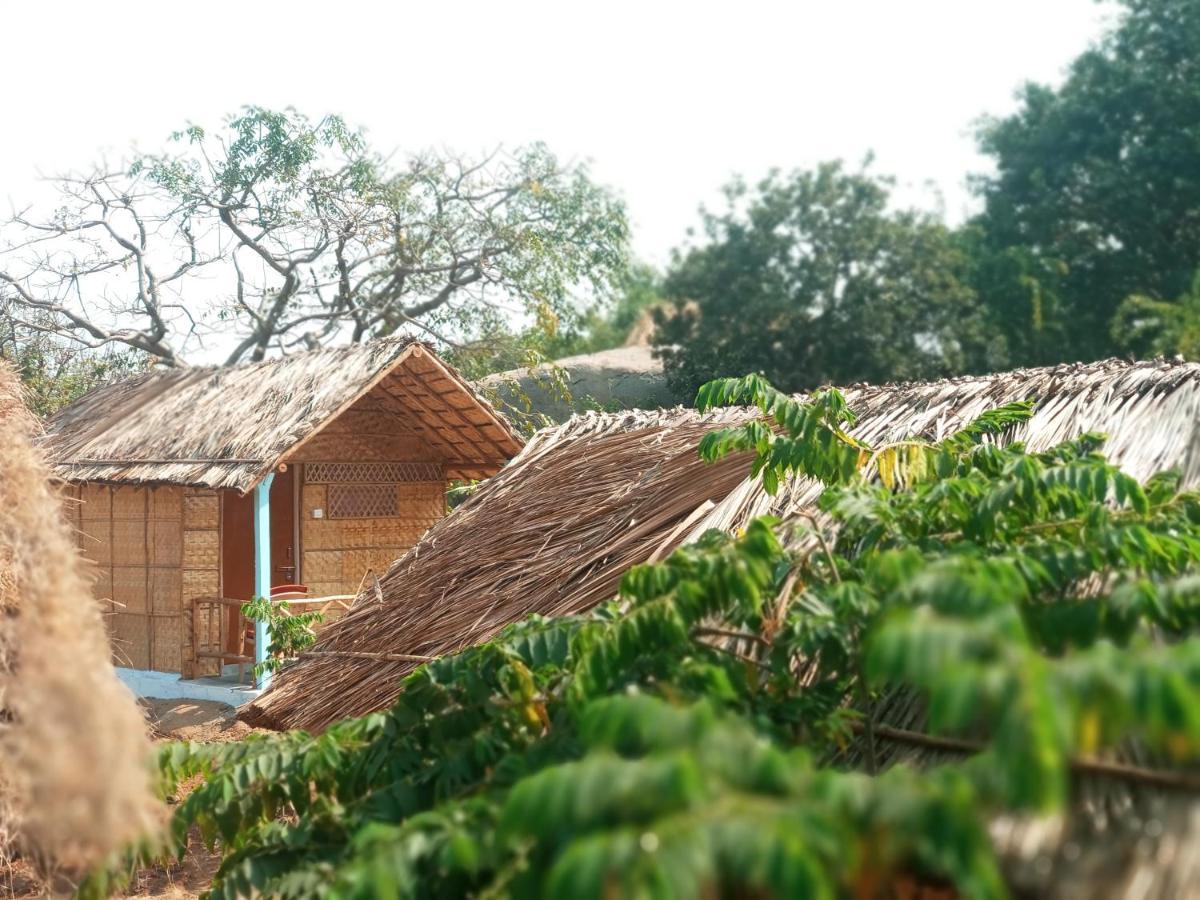 Hampi Nature Cottage ภายนอก รูปภาพ