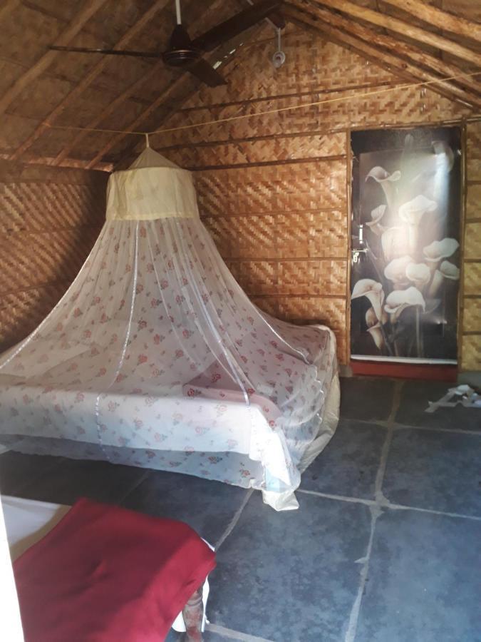 Hampi Nature Cottage ภายนอก รูปภาพ